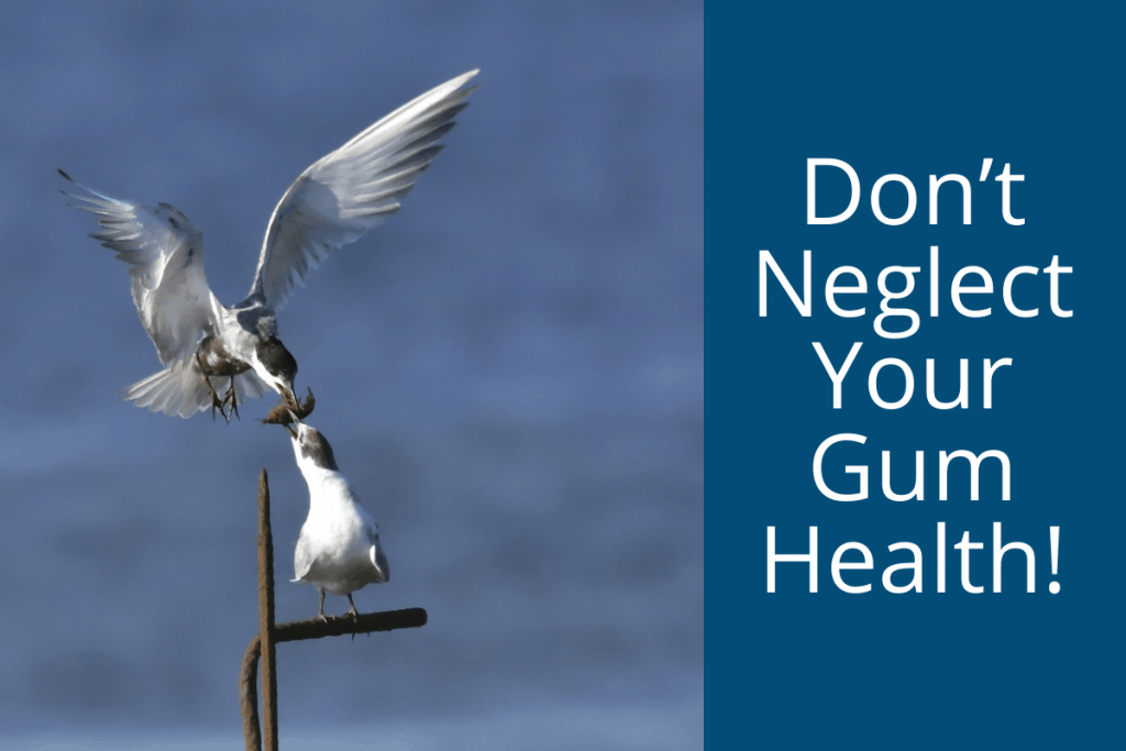 Don’t Neglect Your Gum Health!