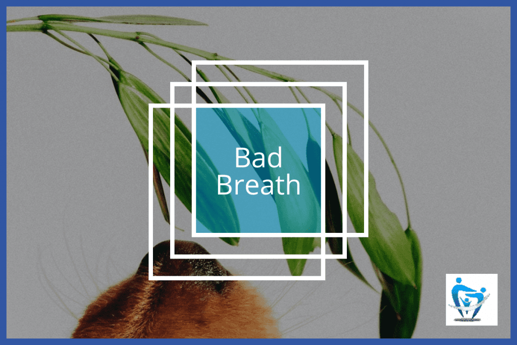 Bad Breath