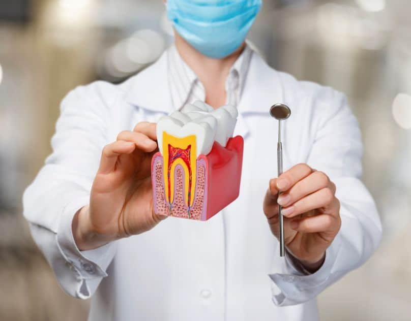 Endodontist